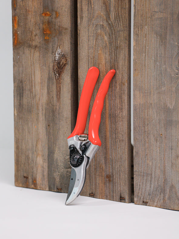 Felco Secateurs